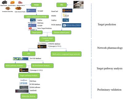 Study on the mechanism of Wumei San in treating piglet diarrhea using network pharmacology and molecular docking